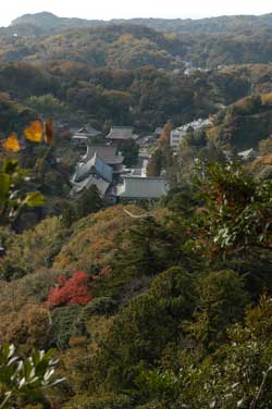 kamakura5.jpg