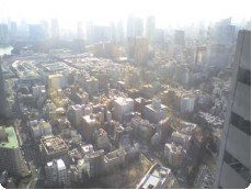 聖路加タワー展望台より