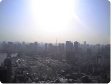 聖路加タワー展望台より