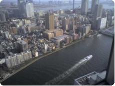 聖路加タワー展望台より