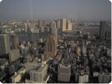 聖路加タワー展望台より